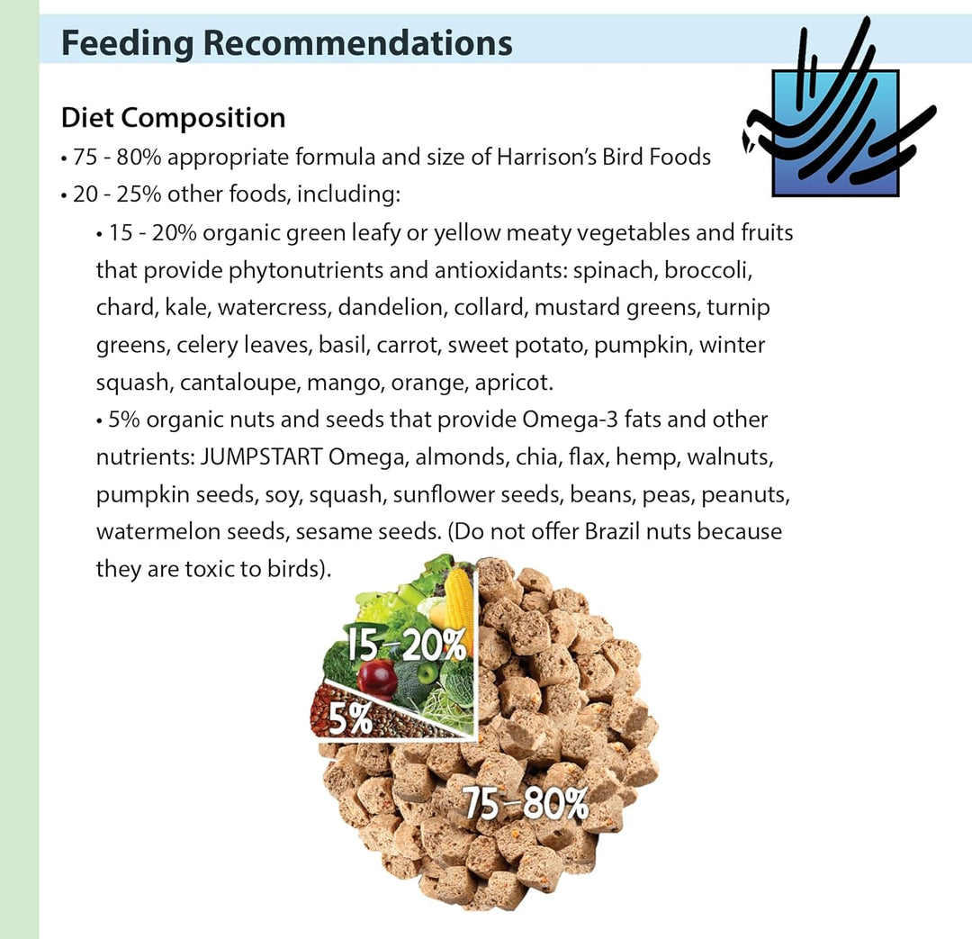 Feeding recommendations for bird food with a pile of bird food