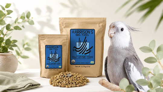 Why Harrison’s Bird Foods Is One of the Best Diets for Pet Birds
