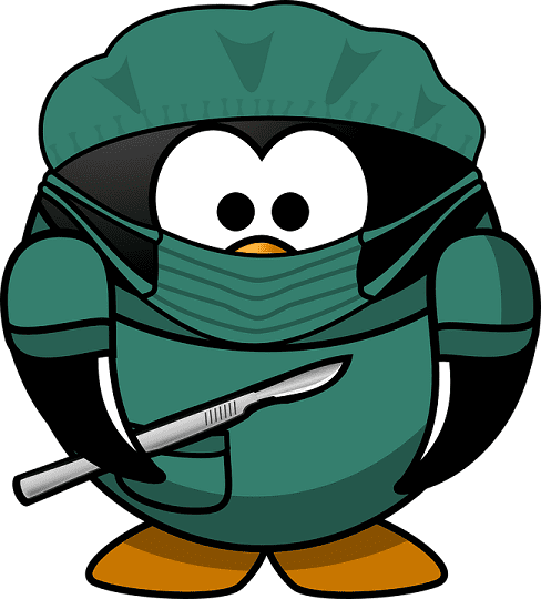Avian Healthcare Recommendations