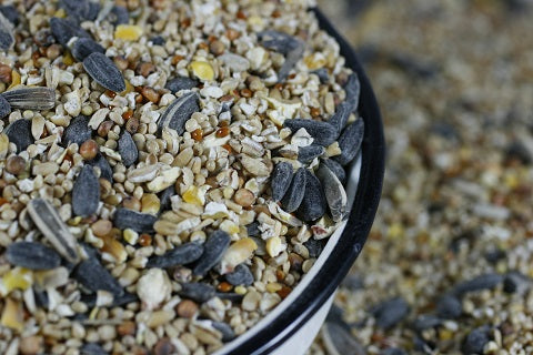 How and Why to Switch Your Bird to a Pelleted Diet
