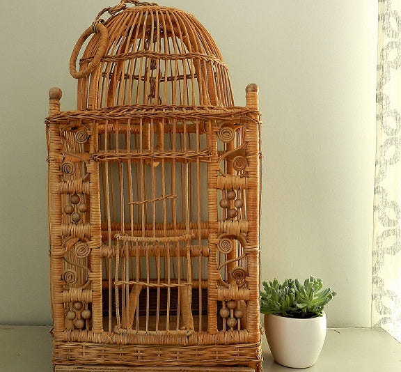 How Big is Your Bird's Cage?