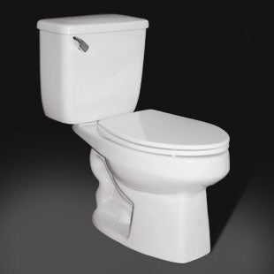 How To Potty Train Birds