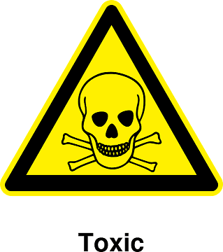 Lead Toxicosis