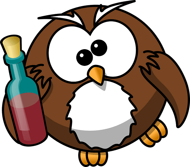 Water Bottles & Birds