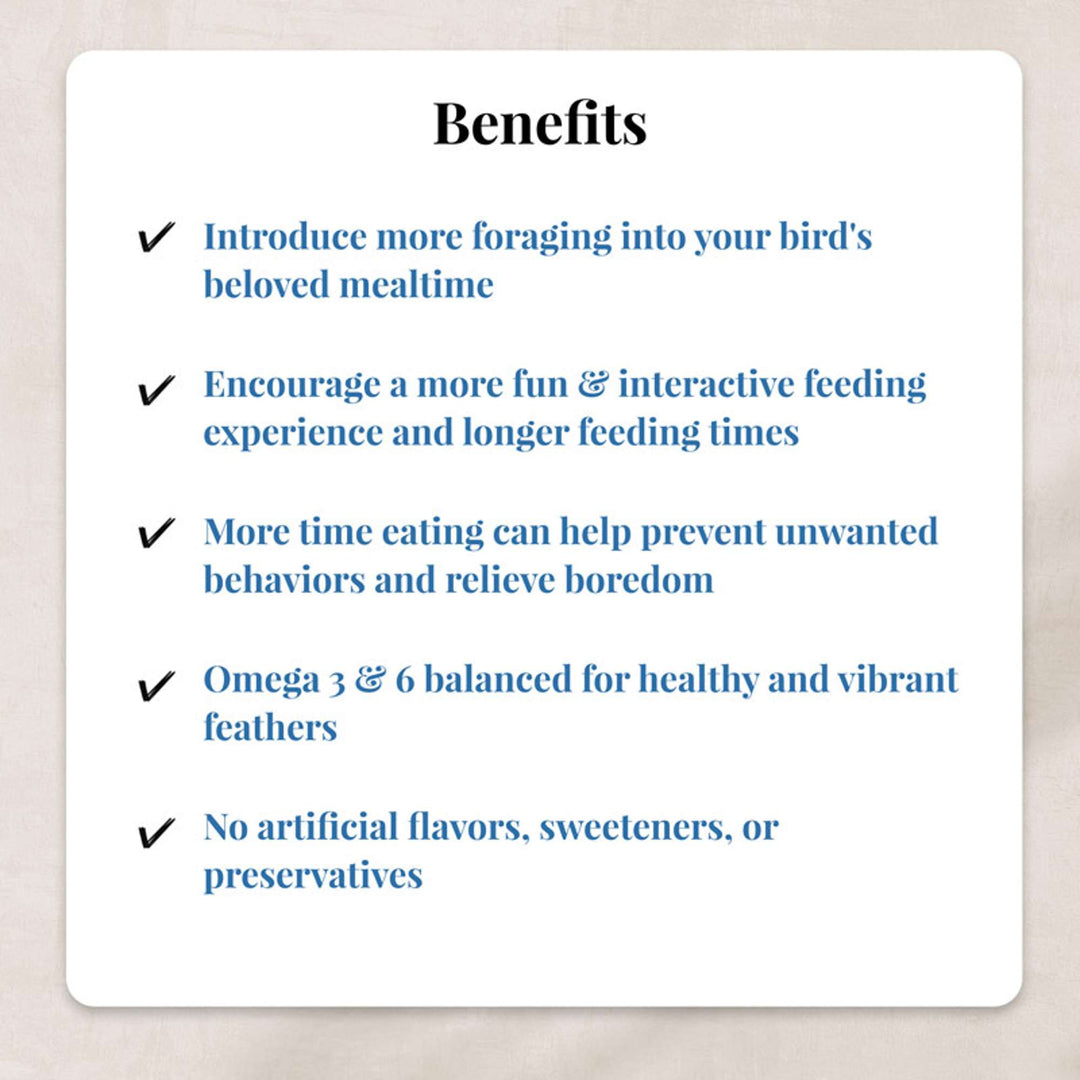 05740-foraging-fun-pack-cockatiel-benefits