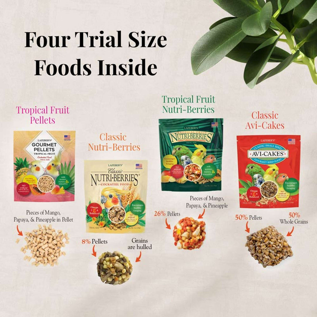 05740-foraging-fun-pack-cockatiel-four-trial-size-foods-inside-tropical-fruits-pellets-classic-nutri-berries-tropical-fruit-nutri-berries-classic-avi-cakes