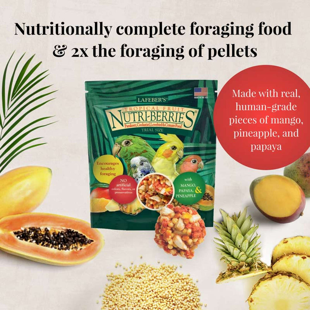 05740-foraging-fun-pack-cockatiel-nutritionally-complete-foraging-food-2x-the-foraging-of-pellets-tropical-fruit-nutri-berries