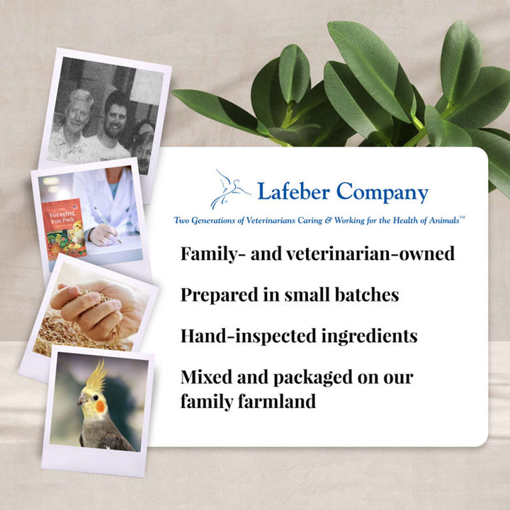 05740-foraging-fun-pack-cockatiel-lafeber-company