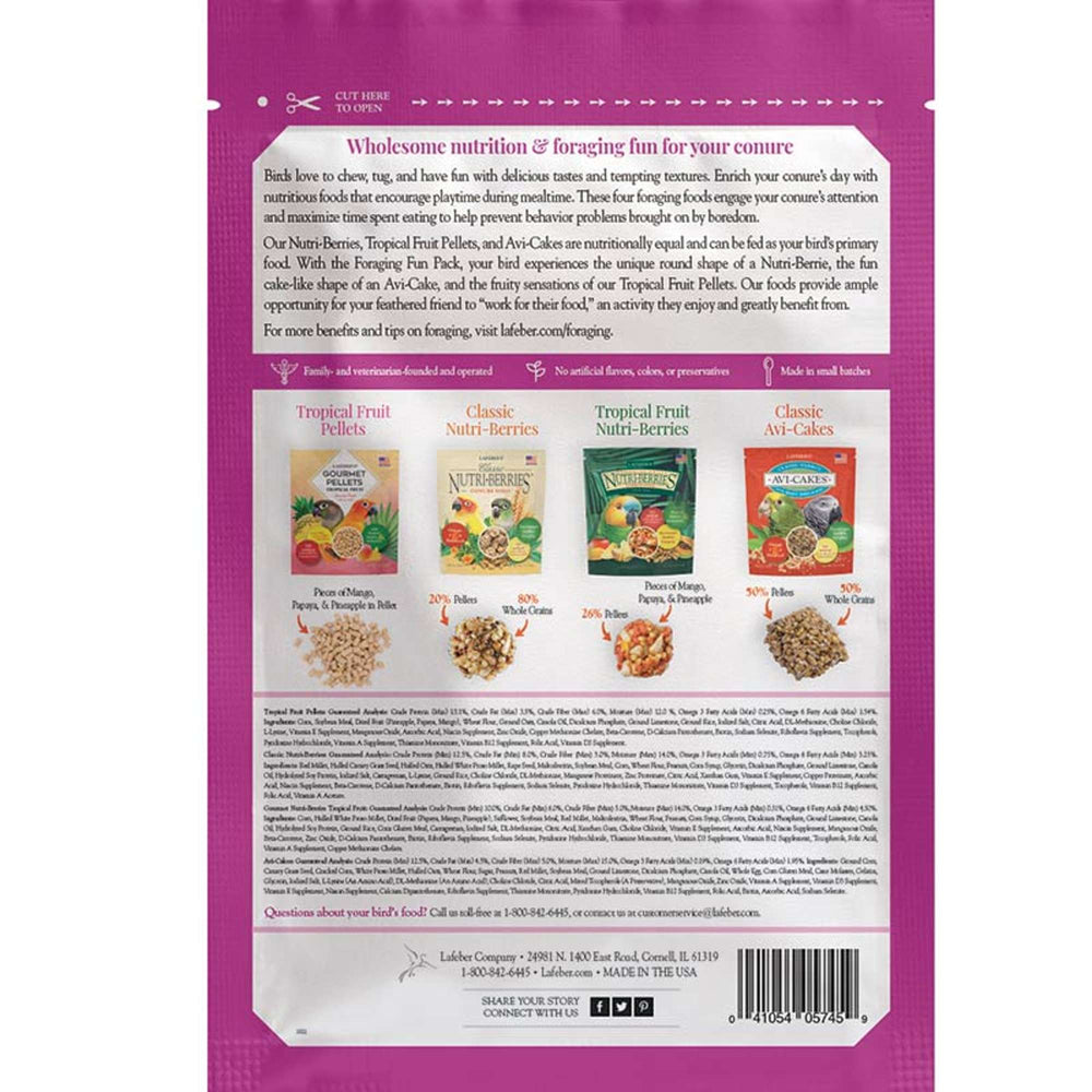 05745-foraging-fun-pack-conure-back