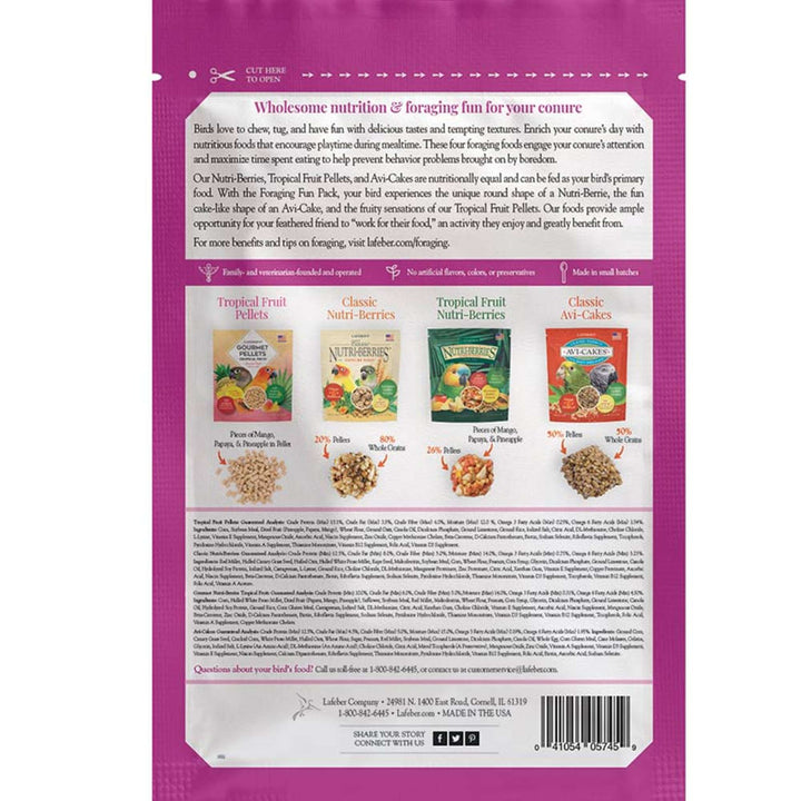 05745-foraging-fun-pack-conure-back