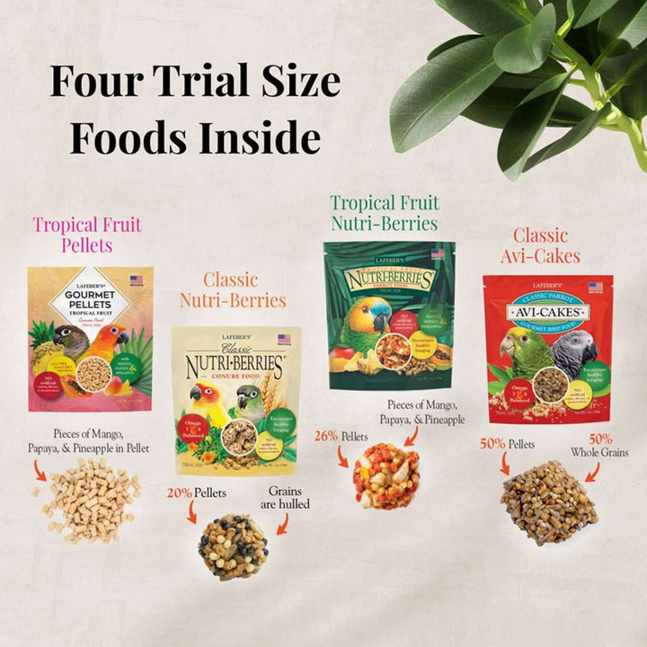 05745-foraging-fun-pack-conure-four-trial-size-foods-inside-tropical-fruit-pellets-classic-nutri-berries-tropical-fruit-nutri-berries-classic-avi-cakes