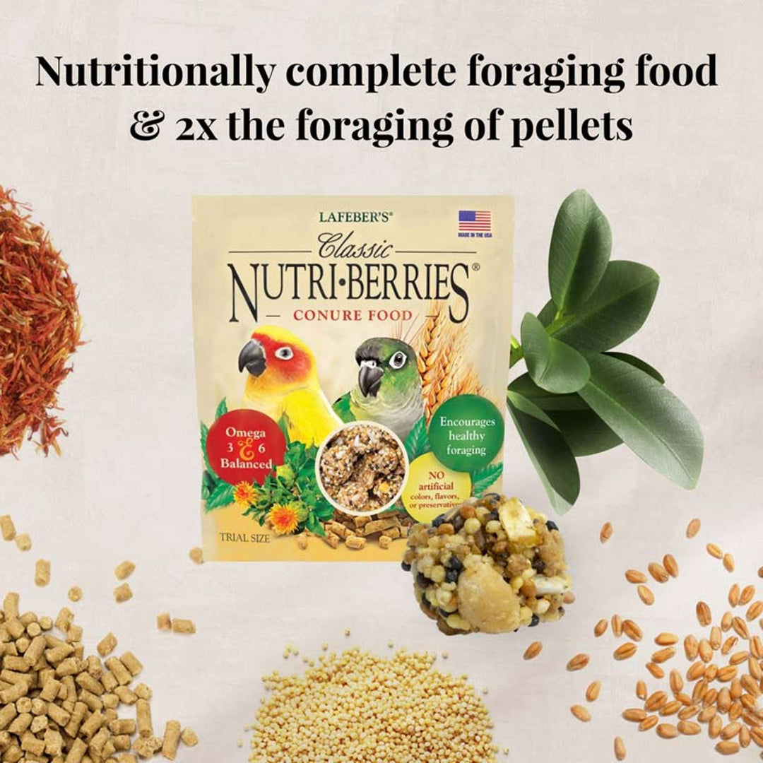 05745-foraging-fun-pack-conure-nutritionally-complete-foraging-food-2x-the-foraging-of-pellets