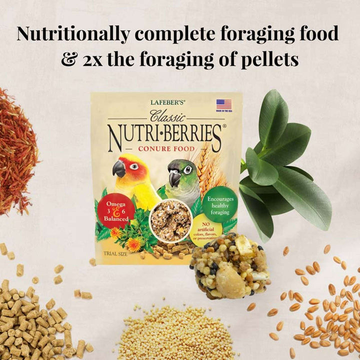05745-foraging-fun-pack-conure-nutritionally-complete-foraging-food-2x-the-foraging-of-pellets