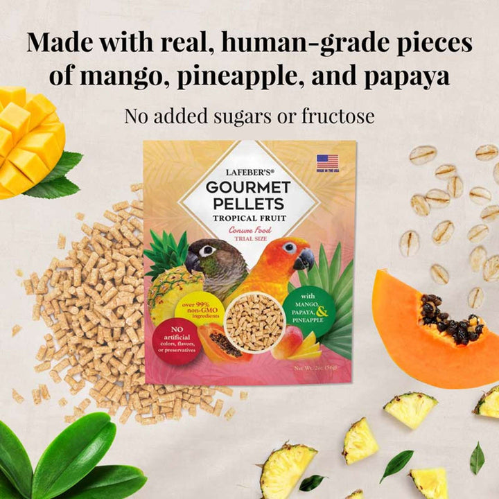 05745-foraging-fun-pack-conure-made-with-real-human-grade-pieces-of-mango-pineapple-papaya-no-added-sugars-or-fructose