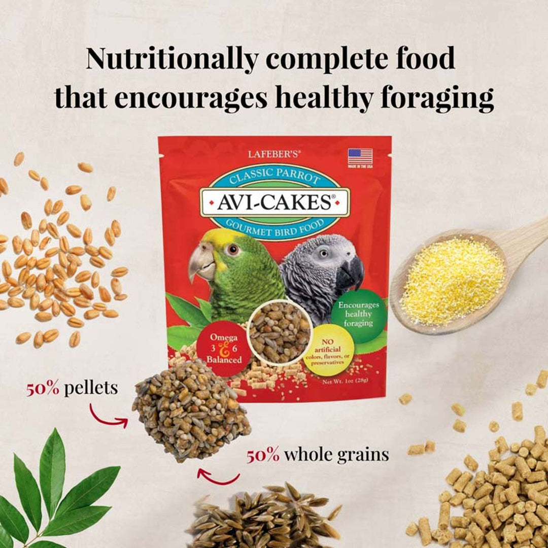 05745-foraging-fun-pack-conure-nutritionally-complete-food-that-encourages-healthy-foraging