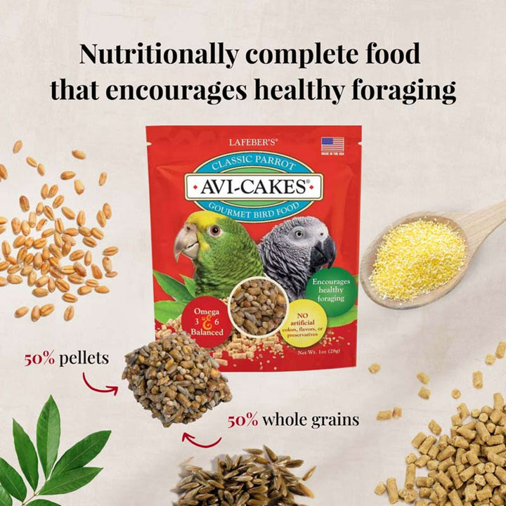 05745-foraging-fun-pack-conure-nutritionally-complete-food-that-encourages-healthy-foraging