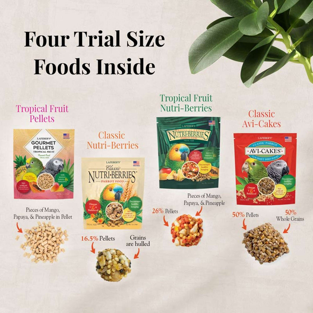 05750-foraging-fun-pack-parrot-four-trial-size-foods-inside-tropical-fruit-pellets-classic-nutri-berries-tropical-fruit-nutri-berries-classic-avi-cakes