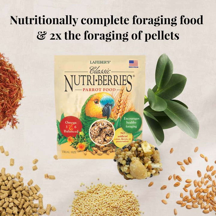 05750-foraging-fun-pack-parrot-nutritionally-complete-foraging-food-2x-the-foraging-of-pellets