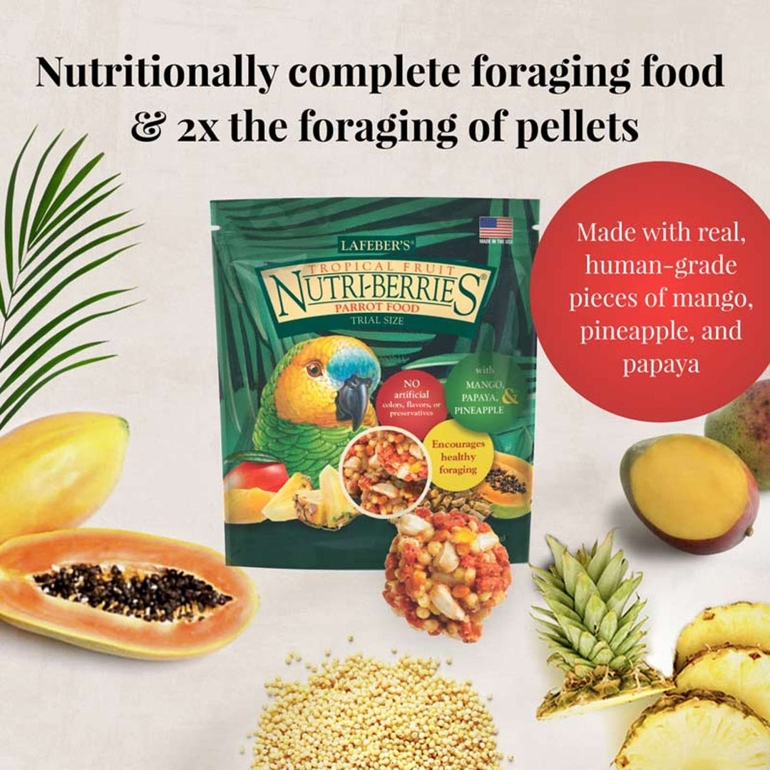 05750-foraging-fun-pack-parrot-nutritionally-complete-foraging-food-2x-the-foraging-of-pellets