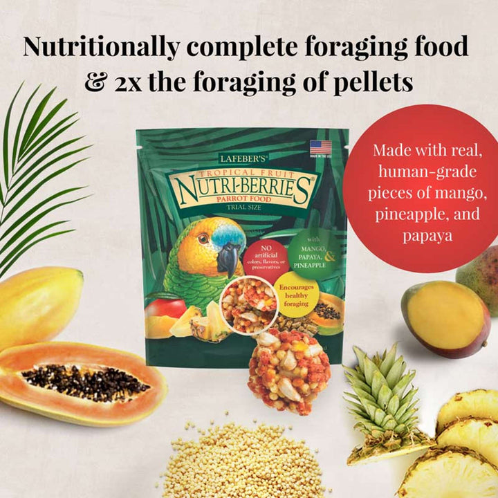 05750-foraging-fun-pack-parrot-nutritionally-complete-foraging-food-2x-the-foraging-of-pellets
