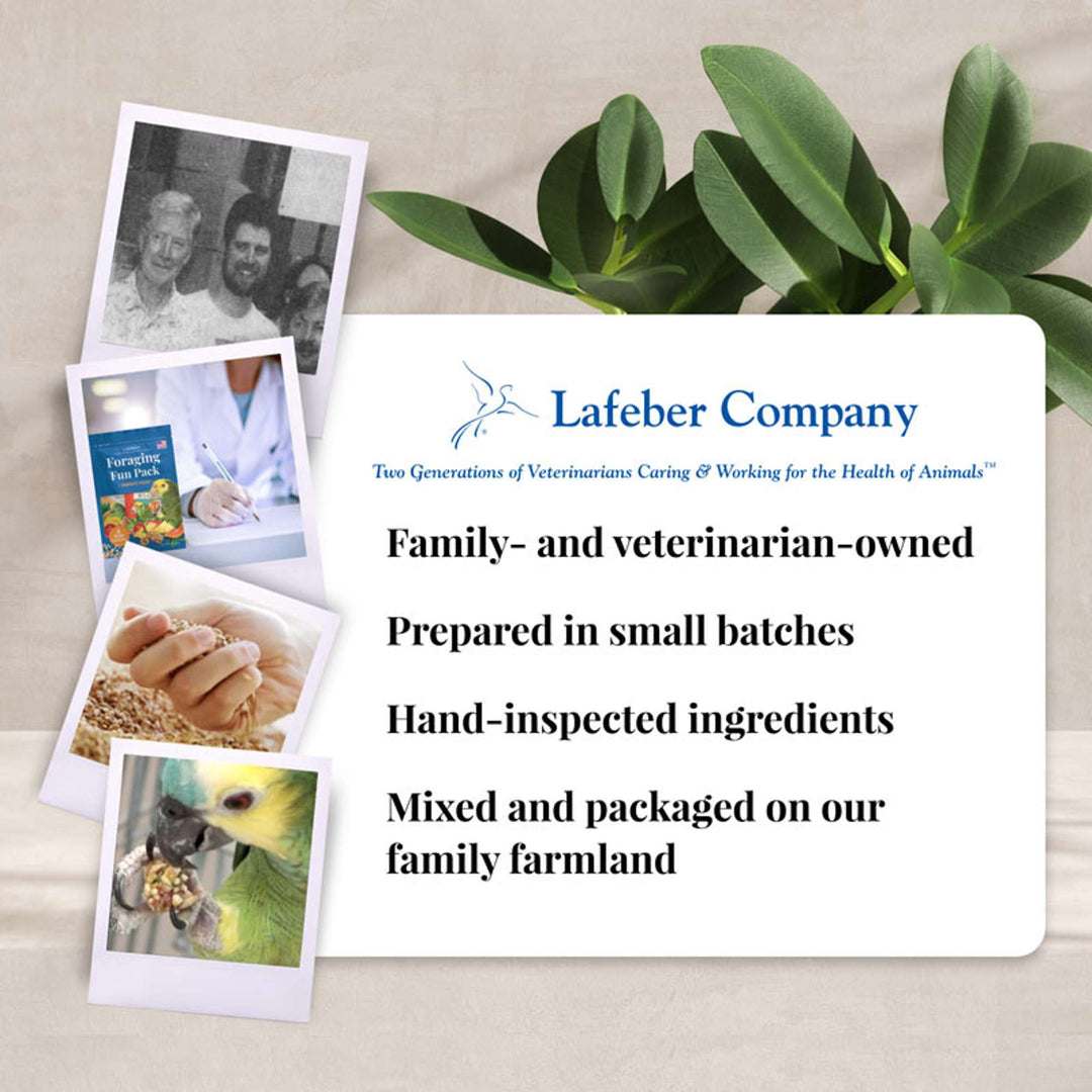 05750-foraging-fun-pack-parrot-lafeber-company