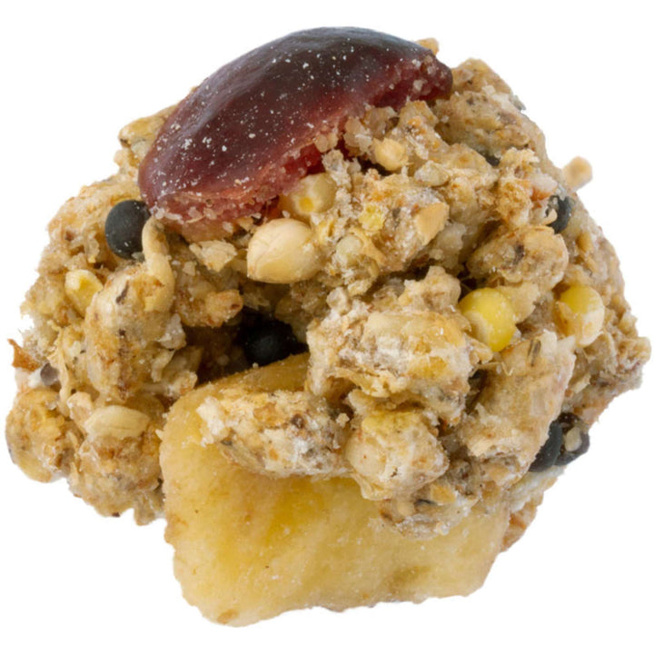 42510-lafeber-rascally-rat-nutri-berries-pellet