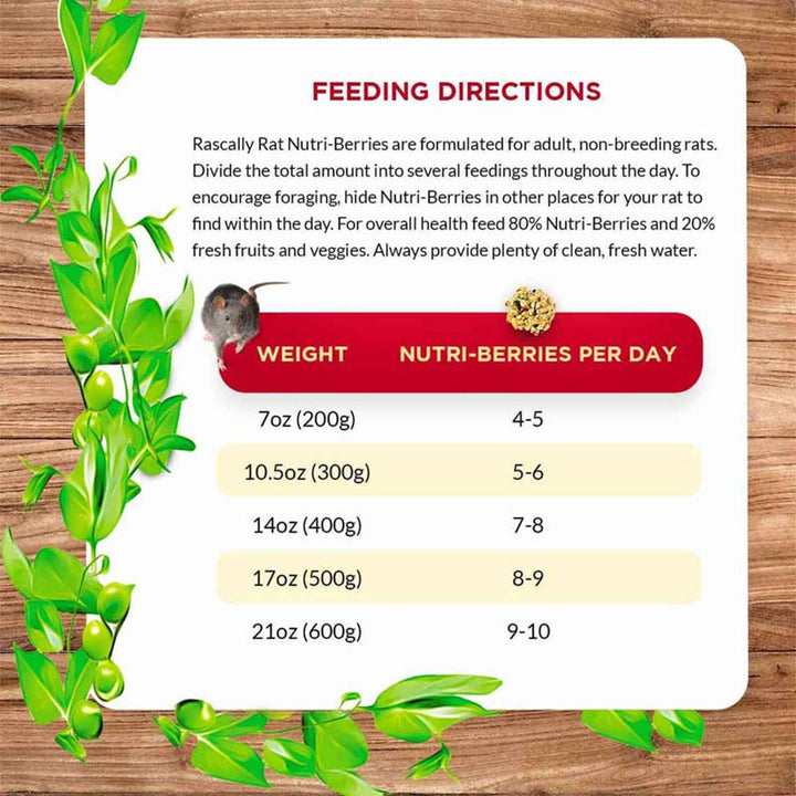 42510-lafeber-rascally-rat-nutri-berries-feeding-guide-directions
