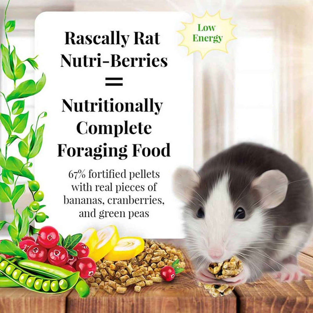 42510-lafeber-rascally-rat-nutri-berries-nutritionally-complete-foraging-food-67%-fortified-pellets-with-real-pieces-of-bananas-cranberries-and-green-peas