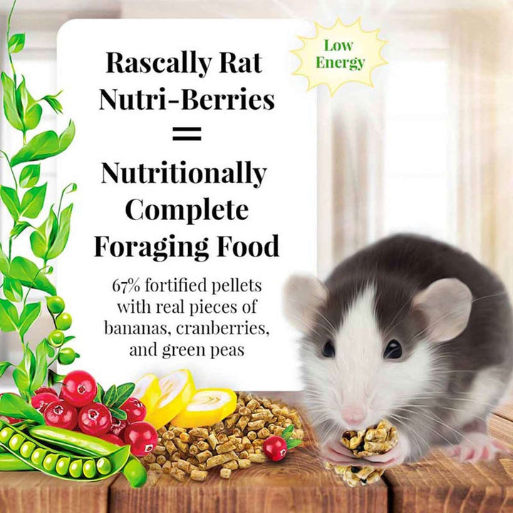 42510-lafeber-rascally-rat-nutri-berries-nutritionally-complete-foraging-food-67%-fortified-pellets-with-real-pieces-of-bananas-cranberries-and-green-peas