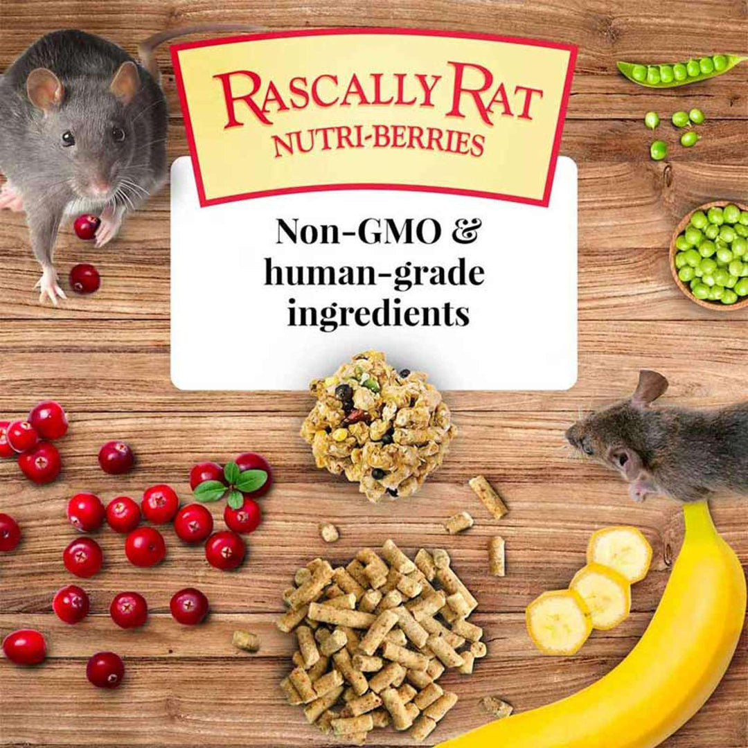 42510-lafeber-rascally-rat-nutri-berries-non-gmo-human-grade-ingredients