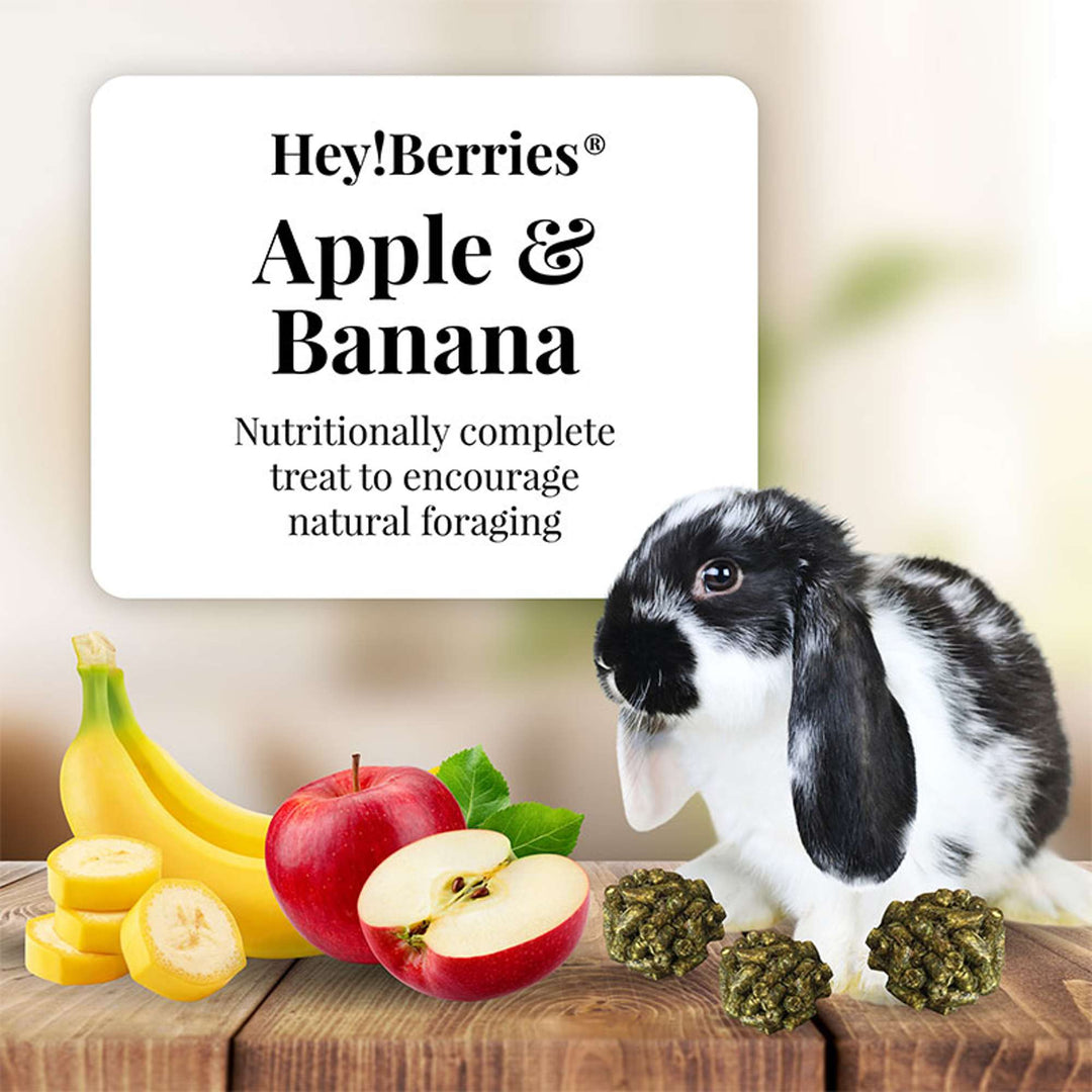 43110-heyberries-apple-banana-rabbit-nutritionally-complete-treat-to-encourage-natural-foraging