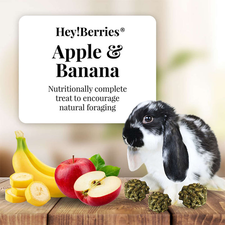 43110-heyberries-apple-banana-rabbit-nutritionally-complete-treat-to-encourage-natural-foraging