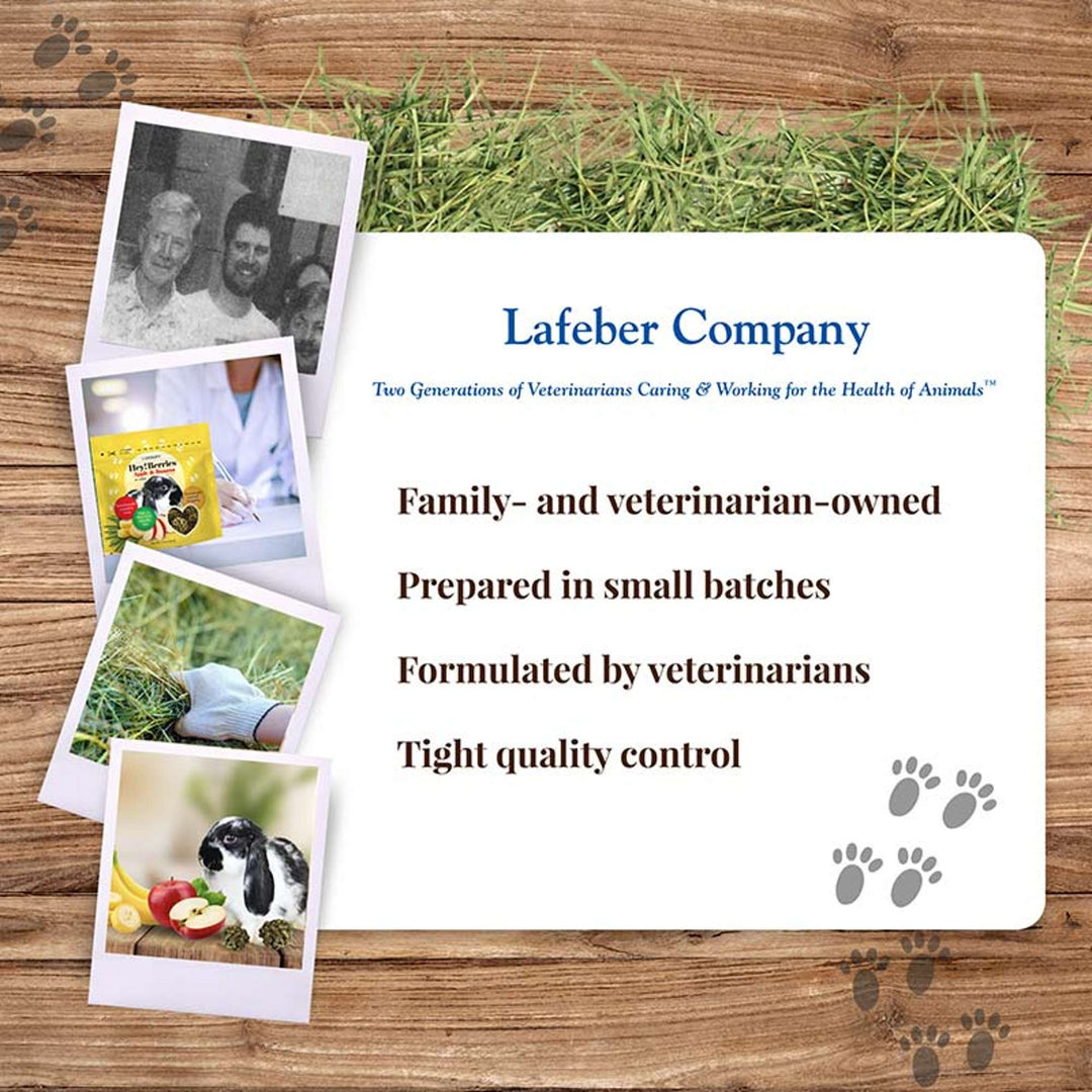 43110-heyberries-apple-banana-rabbit-lafeber-company