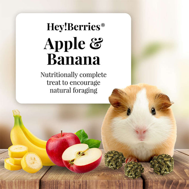 43120-heyberries-apple-banana-guinea-pig-nutritionally-complete-treat-to-encourage-natural-foraging