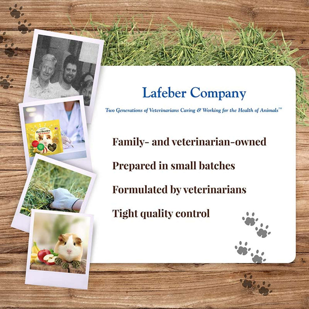 43120-heyberries-apple-banana-guinea-pig-lafeber-company