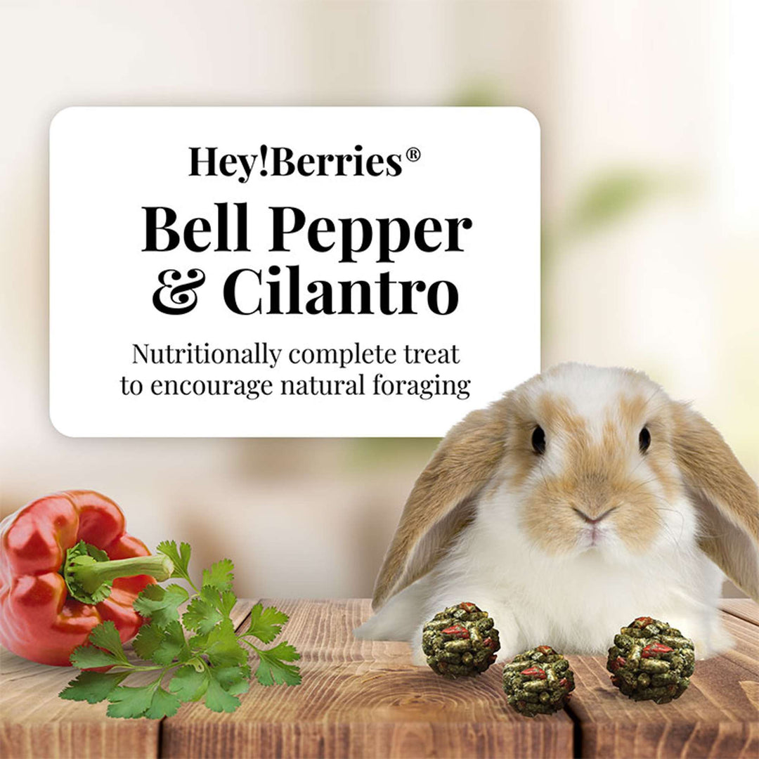 43210-heyberries-cilantro-pepper-rabbit-nutritionally-complete-treat-to-encourage-natural-foraging