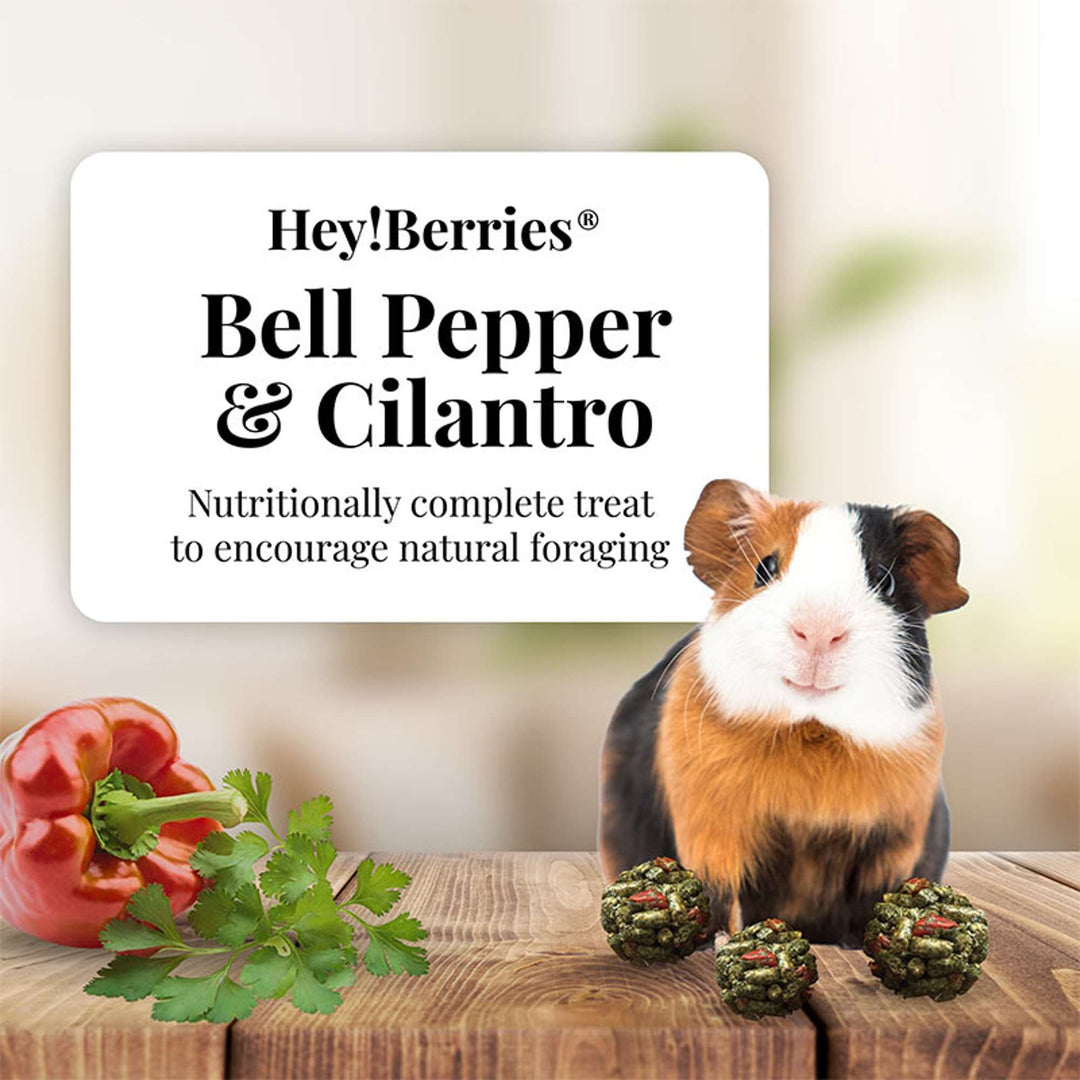 43220-heyberries-cilantro-pepper-guinea-pig-nutritionally-complete-treat-to-encourage-natural-foraging