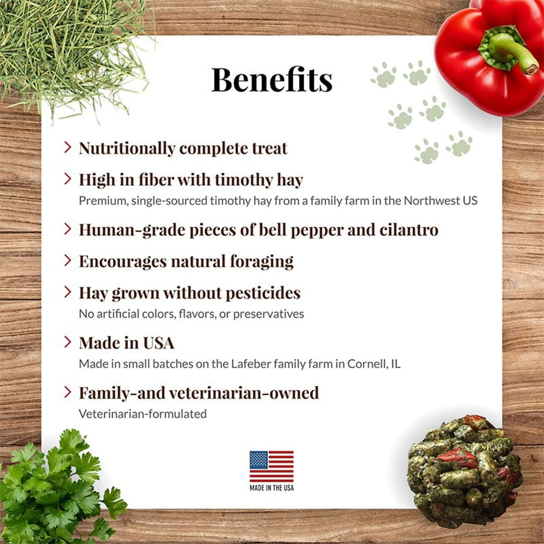 43220-heyberries-cilantro-pepper-guinea-pig-benefits