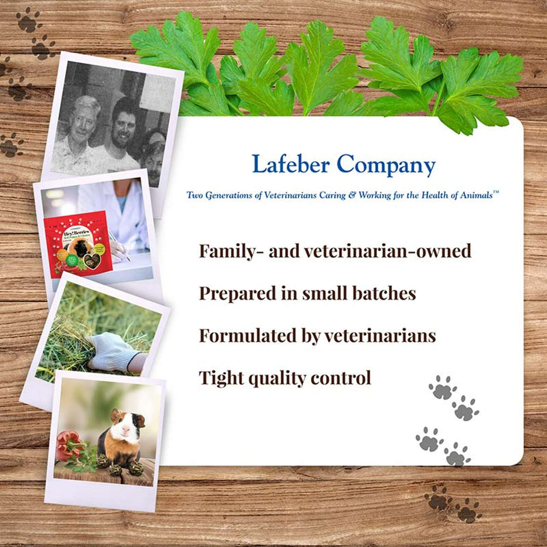 43220-heyberries-cilantro-pepper-guinea-pig-lafeber-company