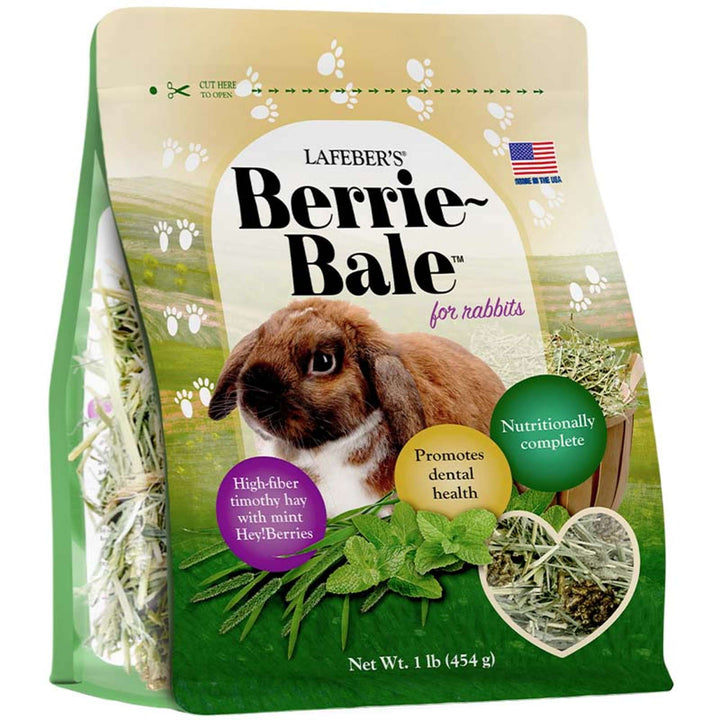 Lafeber Berrie-Bale Mint for Rabbits, 1 lb – BirdieBoutique.com