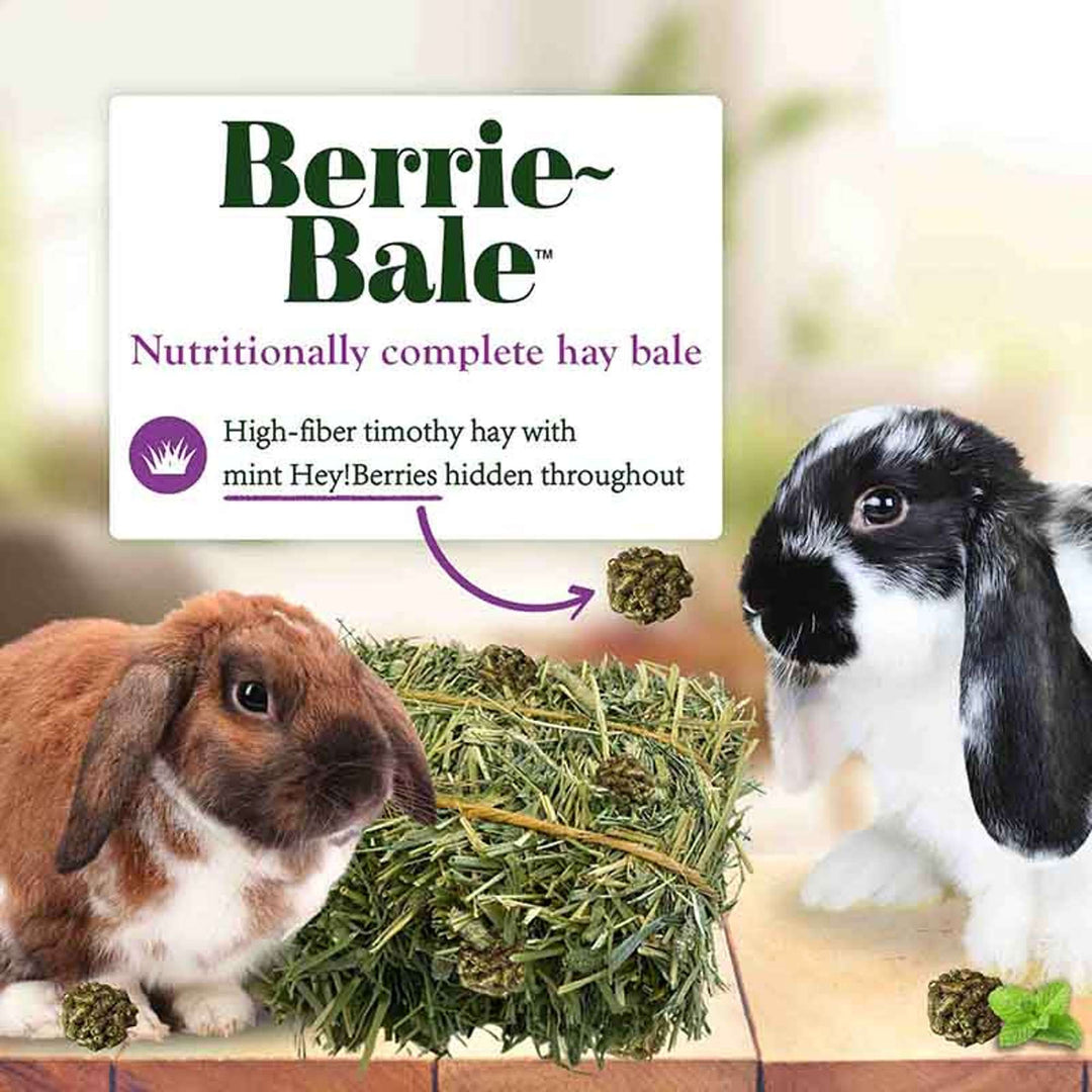 44112-berrie-bale-rabbit-nutritionally-complete-hay-bale-high-fiber-timothy-hay-with-Hey!Berries-hidden-throughout