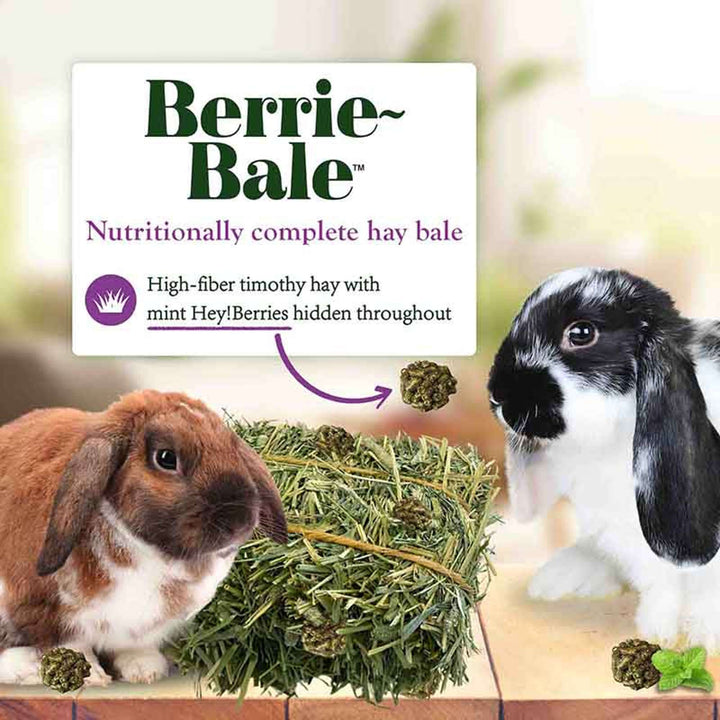 44112-berrie-bale-rabbit-nutritionally-complete-hay-bale-high-fiber-timothy-hay-with-Hey!Berries-hidden-throughout