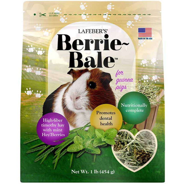 44122-berrie-bale-guinea-pig-front