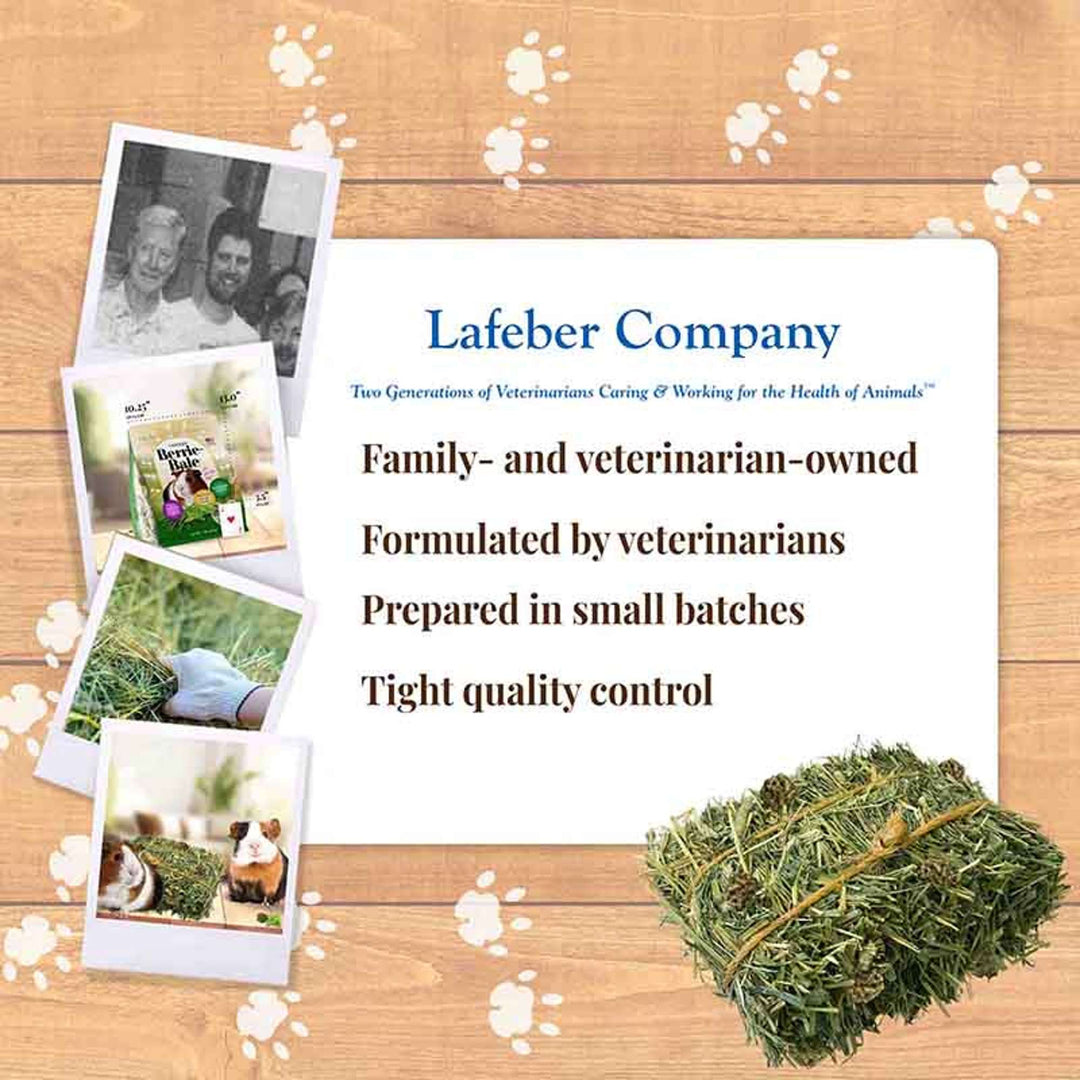 44122-berrie-bale-guinea-pig-lafeber-company