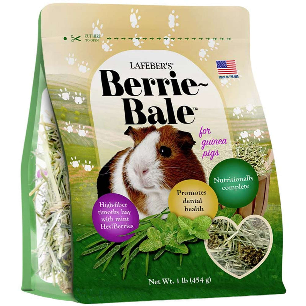 44122-berrie-bale-guinea-pig-side