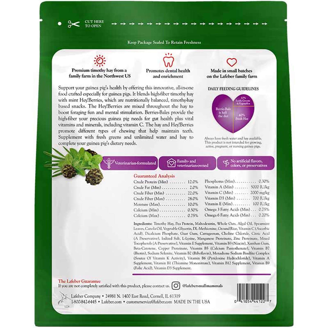 44122-berrie-bale-guinea-pig-back