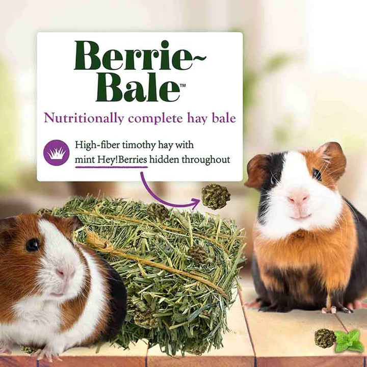 44122-berrie-bale-guinea-pig-nutritionally-complete-hay-bale-high-fiber-timothy-hay-with-mint-Hey!Berries-hidden-throughout