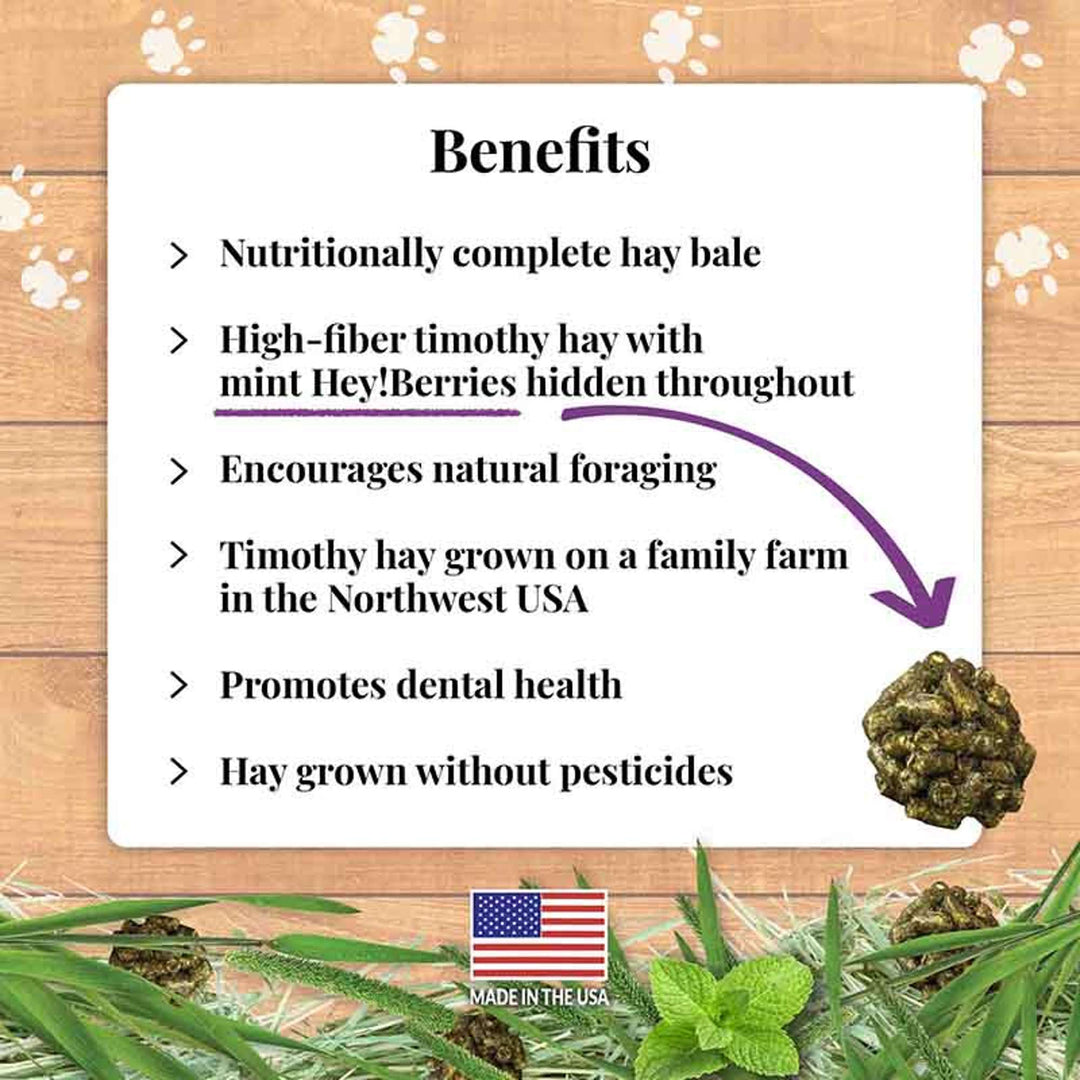 44122-berrie-bale-guinea-pig-benefits