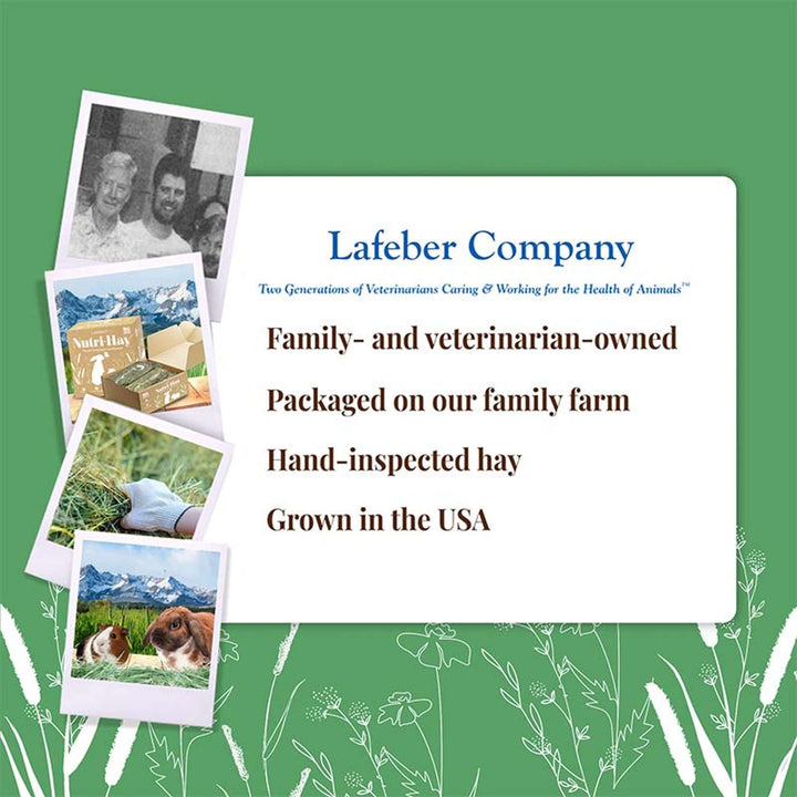 45006-nutri-hay-lafeber-company