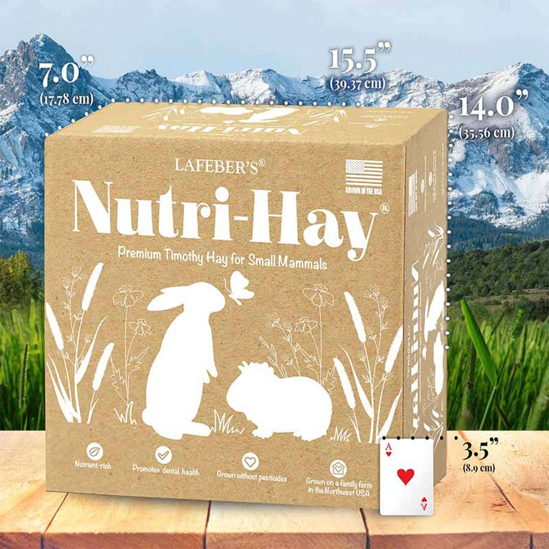 45006-nutri-hay-size